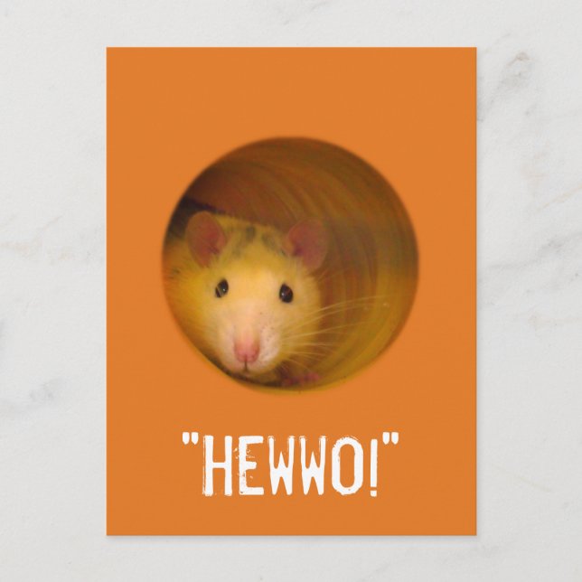 Funny Optical Illusion Rat in Hole Postkarte (Vorderseite)