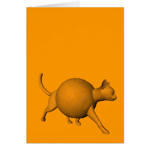 Funny Orange Cat