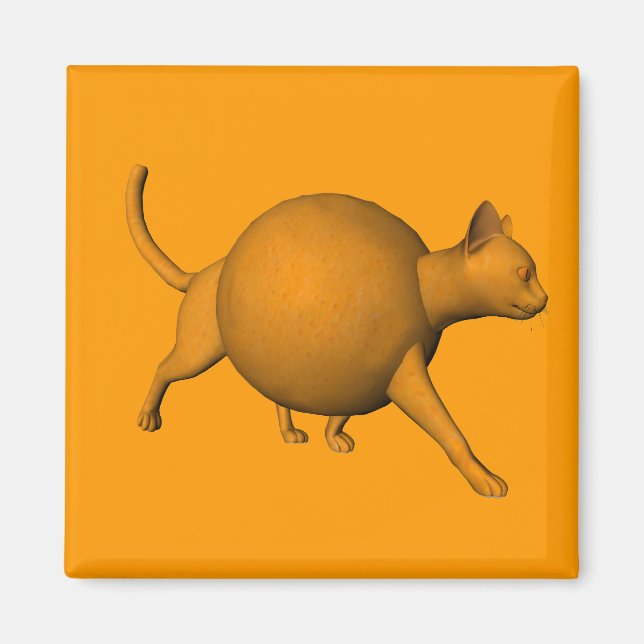 Funny Orange Cat Magnet (Vorne)