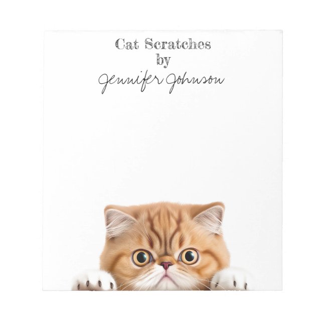 Funny Orange Ginger Tabby Cat Notepad Notizblock (Vorderseite)