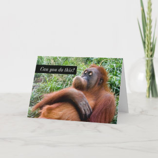 Funny Orangutan Grußkarte Karte
