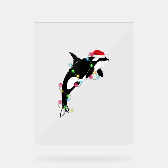 Funny Orca Killer Whale Weihnachtsmannmütze Weihna Acrylschild (Vorderseite)
