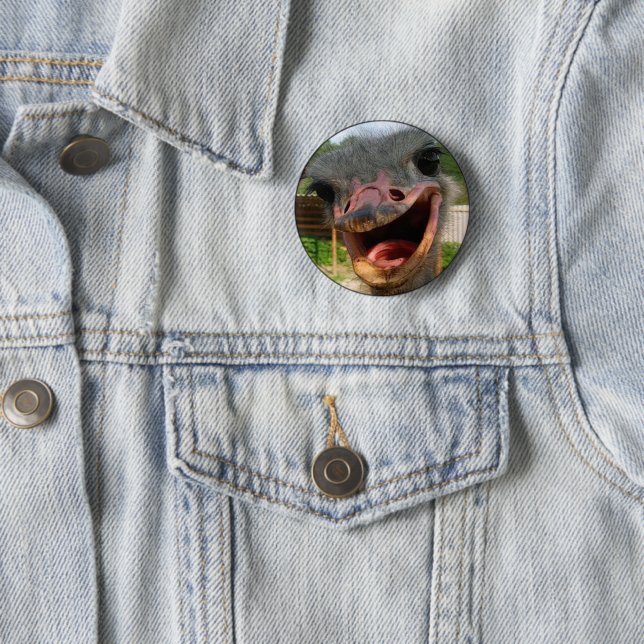Funny Ostrich Bird Foto Was ist los? Button (Beispiel)