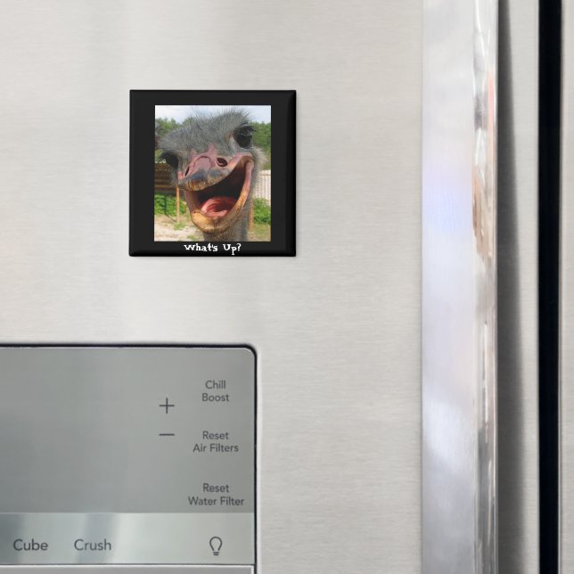 Funny Ostrich Bird Foto Was ist los? Magnet (In Situ (Kühlschrank))