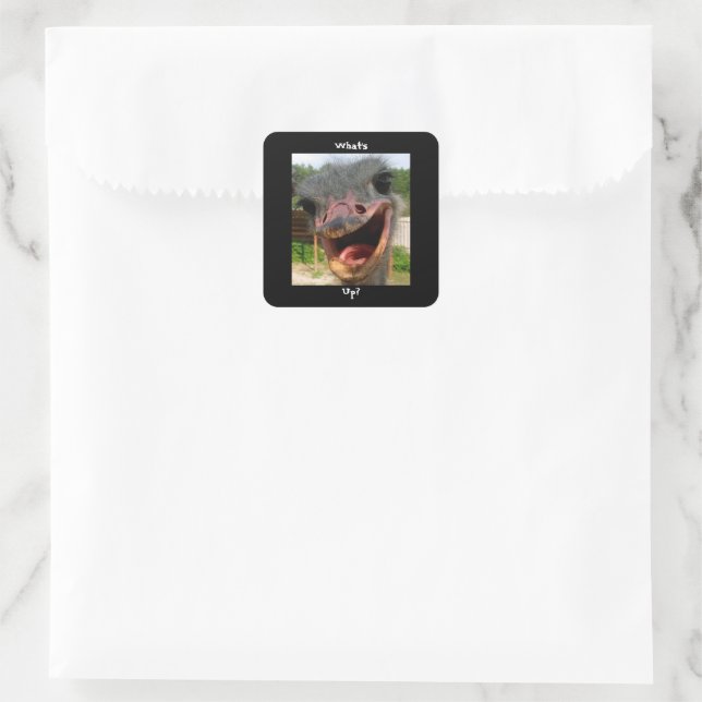 Funny Ostrich Bird Foto Was ist los? Quadratischer Aufkleber (Tasche)