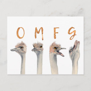 Funny Ostrich Birds OMFG Postkarte
