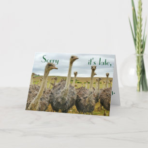 Funny Ostrich carte d'anniversaire tardive