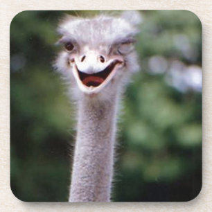Funny Ostrich Getränkeuntersetzer