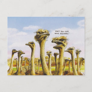 Funny Ostridge Postkarte