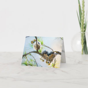 Funny Owl Babies Hängend in Tree Fine Art