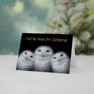 Funny Owl Wir Wollte für Weihnachten Snowy Owls Fa