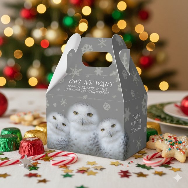 Funny Owl Wir Wollte zu Weihnachten ... Snowy Owls Geschenkschachtel (Trio of Snowy Owls "Owl We Want" Favor Box Cover Photo)
