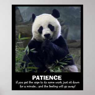 Funny Panda Poster, PATIENZ Poster