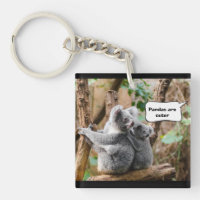 Funny Pandas oder Koalas - Was sind niedlicher?