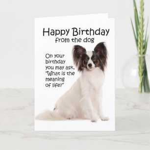Funny Papillon Carte d'anniversaire