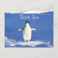 Funny Penguin Vielen Dank