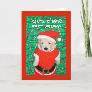 Funny Père Noël Chiot Carte de voeux de Noël