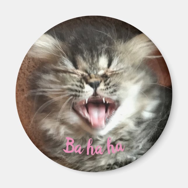 Funny Persian Cat Laughing Humore Gray Kitten Magnet (Vorne)