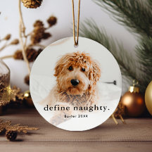 Funny Pet 2 Foto Weihnachten