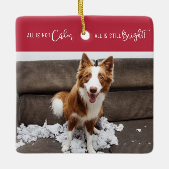 Funny Pet All ist nicht ruhig 3 Foto Keramikornament (Vorderseite)