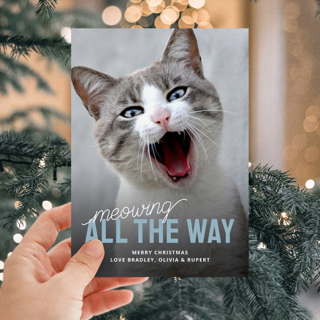 Funny Pet Cat Holiday Weihnachtskarten Feiertagskarte (Von Creator hochgeladen)