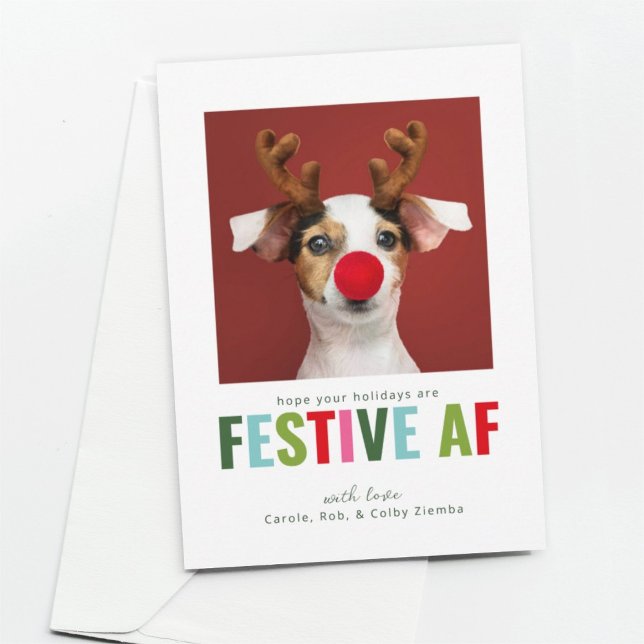 Funny Pet Chien Chat Photo Carte de Noël Festif AF (Créateur téléchargé)