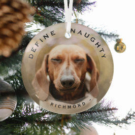 Funny Pet definieren Naughty Weihnachtsglas Foto Ornament Aus Glas