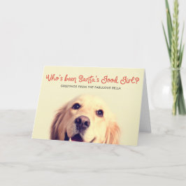 Funny Pet Dog Holiday | Foto Gruß Feiertagskarte