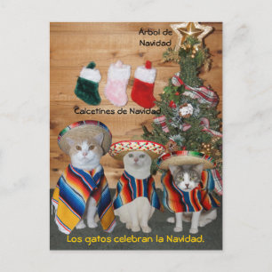 Funny Pet espagnol Cartes postales pour le plaisir