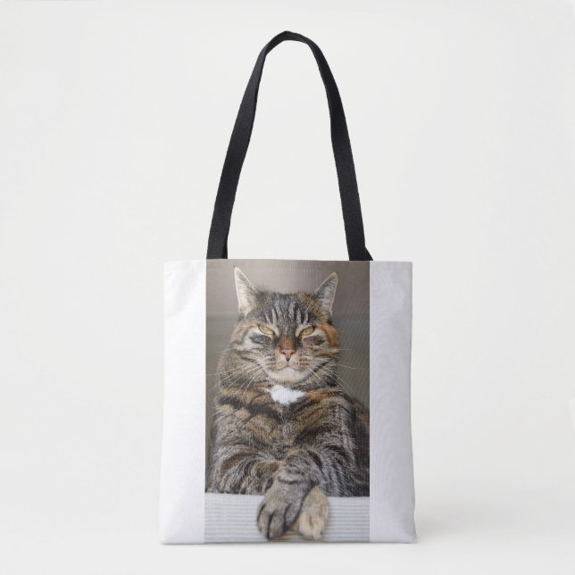 Funny Pet Katze Gemein zynischer Spaß nicht beeind Tasche (Vorderseite)