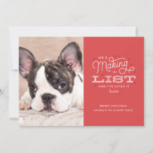 Funny Pet Noël Cartes Chien coquin