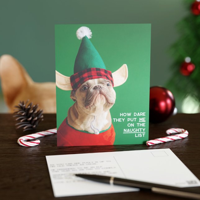 Funny Pet Photo Christmas Holiday Carte postale (Your pup would never be on the naughty list I'm sure)