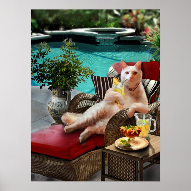 Funny Pet Poster Cat Luxury Vacation (Vorne)