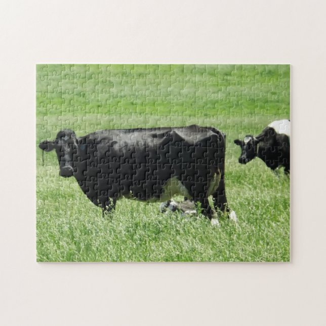 Funny Photobbing Schwarze Kuh (Horizontal)
