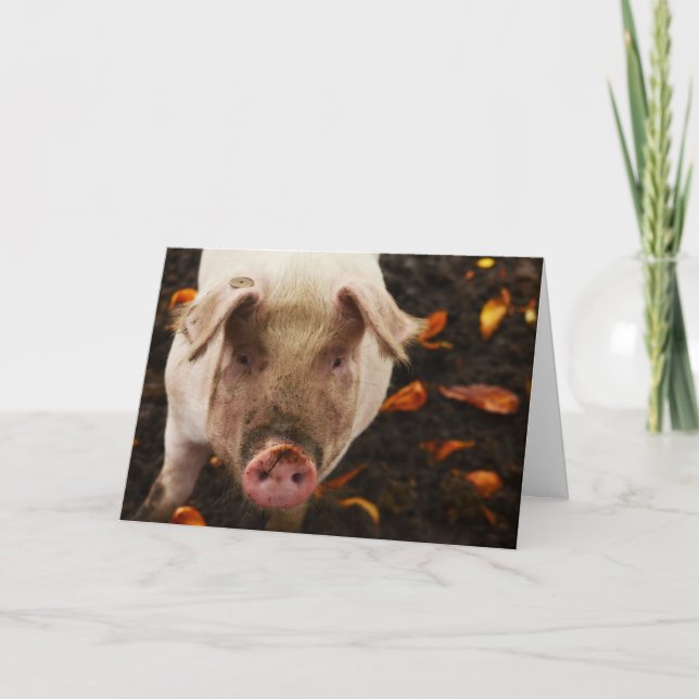 Funny Pig Carte d'anniversaire personnalisée (Devant)
