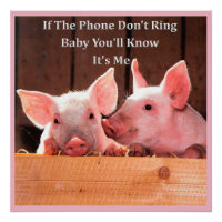 Funny Pig Memes mit lustigen Schweine Redewendunge