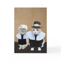 Funny Pilgrim Cats Erntedank Card