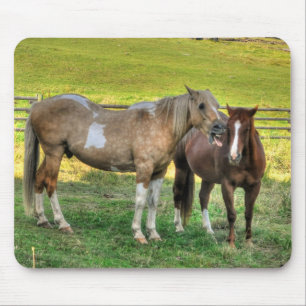 Funny Pinto Stallion & Sorrel Mare Horse Friends 2 Mousepad