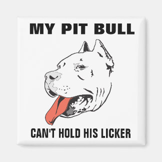 Funny Pitbull kann sein Licker Magnet nicht halten