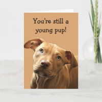 Funny Pitbull Puppy carte d'anniversaire