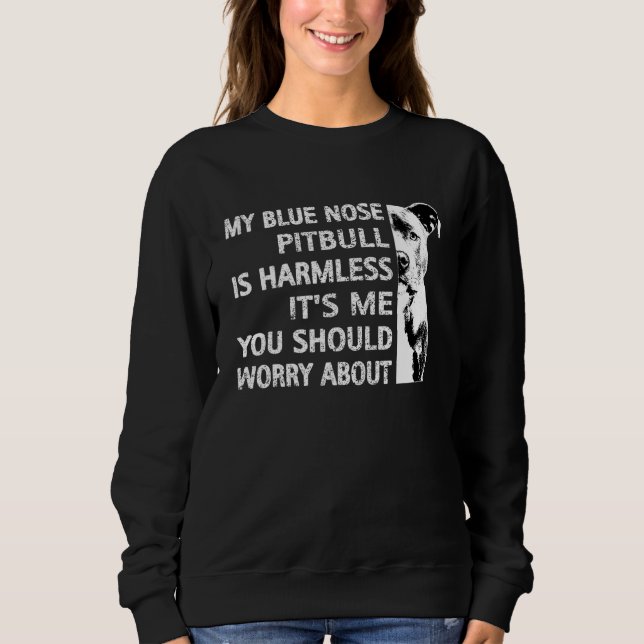 Funny Pitbull Zitat Blue Nose Pitbull Cooler Hund  Sweatshirt (Vorderseite)