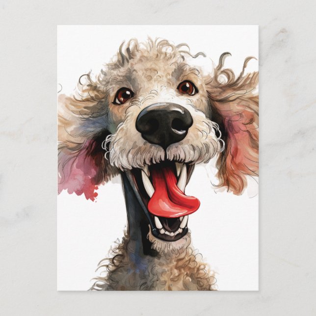 Funny Poodle Cartoon Postkarte (Vorderseite)
