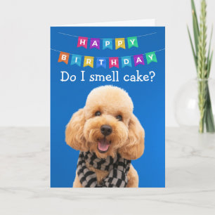 Funny Poodle chien carte d'anniversaire