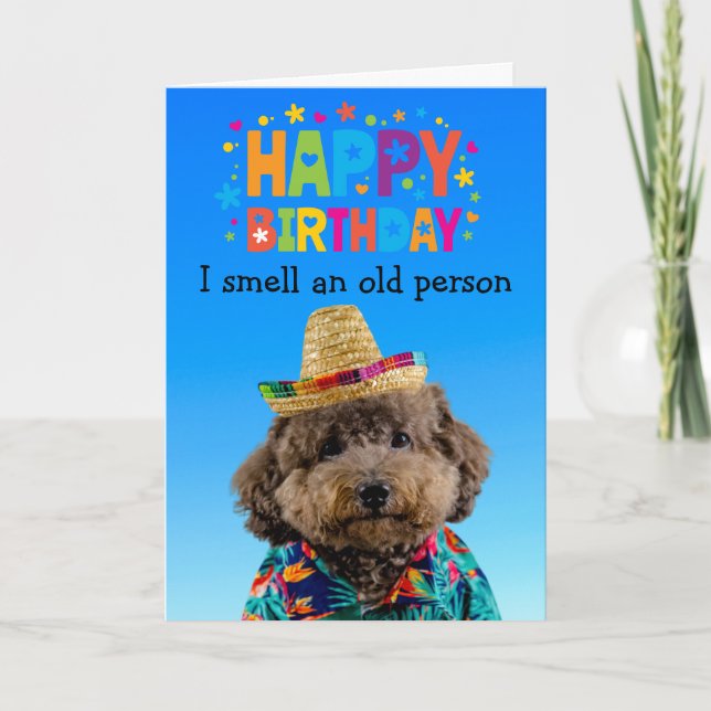 Funny Poodle Hund Geburtstagkarte Karte (Vorderseite)