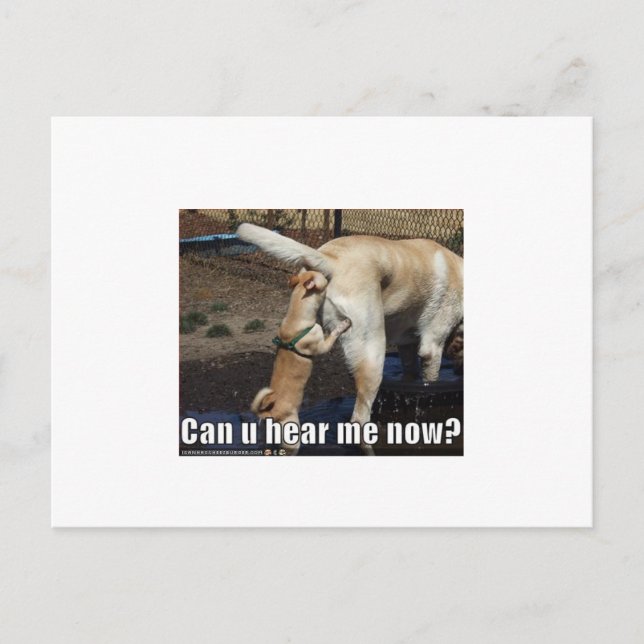 funny postkarte (Vorderseite)