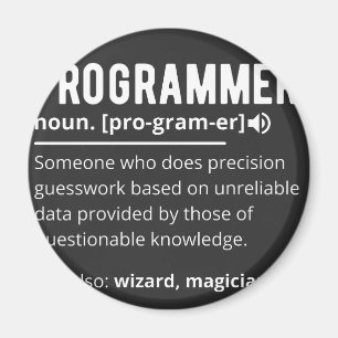 Funny Programmer Code Developer Definition Magnet