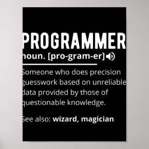 Funny Programmer Code Developer Definition Poster