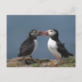 Funny puffs postkarte