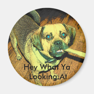 Funny Puggle Dog Magnet