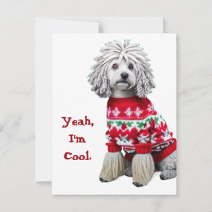 Funny Puli dans une jolie carte de Noël